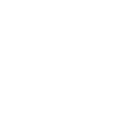 ドッグラン